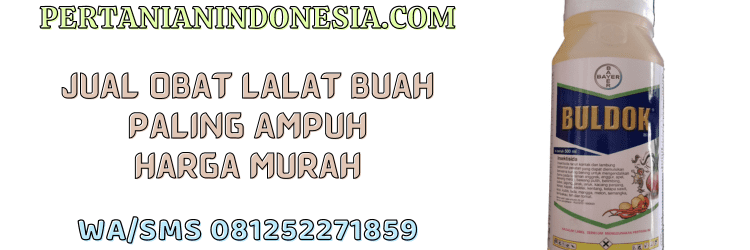 jual,murah,terjangkau,toko pertanian terdekat,pertanian indonesia